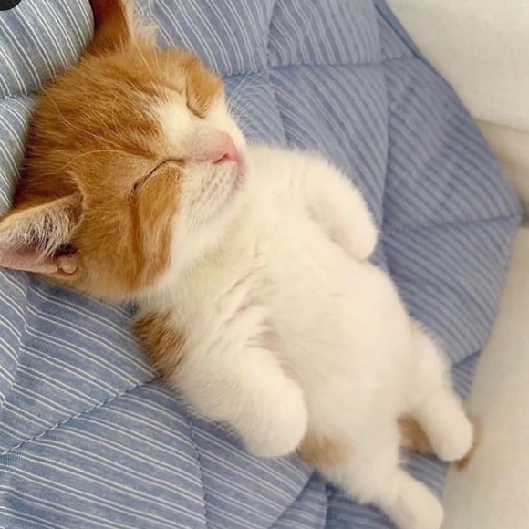 Meet your Posher, Dee - Picture 1 of 1